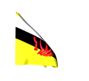Bandera brunei