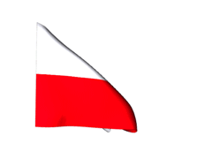 Bandera de Polonia