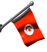 Bandera de Tunez