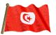 Bandera de Tunez
