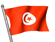Bandera de Tunez