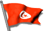 Bandera de Tunez