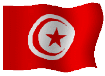 Bandera de Tunez