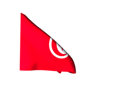 Bandera de Tunez