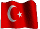 Bandera de Turquia