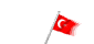 Bandera de Turquia