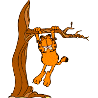 Garfield
