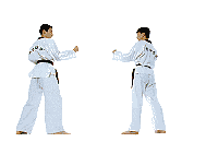 Karateka
