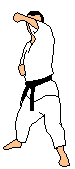 Karateka