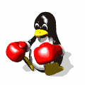 Boxeador pinguino