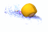 Natacion