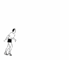 Voleibol