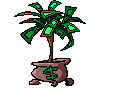 planta de dinero