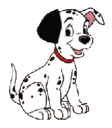 Dalmata