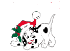 Dalmata