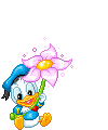 Baby Donald