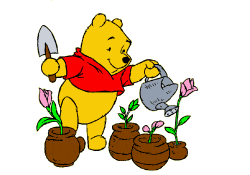 Winnie The Pooh