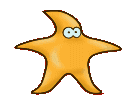 Estrella