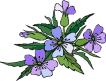 Gif Flor