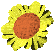 Flor