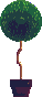 Gif Maceta