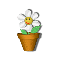 Maceta
