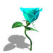 Gif Rosa