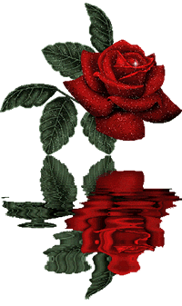 Gif Rosa