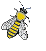 Abeja