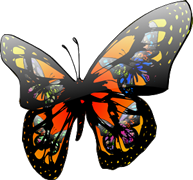 Gifs de Mariposas