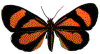 Gif Mariposa