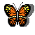 Gif Mariposa