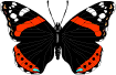 Gif Mariposa
