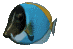 Peces