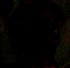 Gif Calavera
