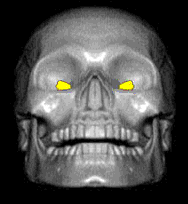 Gif Calavera